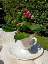 Carica l'immagine nel visualizzatore di Gallery, Tazze da the mat - Mad Mugs Italy